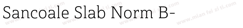 Sancoale Slab Norm B字体转换